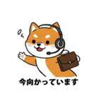 ビジネス向け Shiba Vibes（個別スタンプ：24）