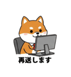 ビジネス向け Shiba Vibes（個別スタンプ：25）