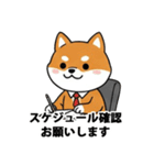 ビジネス向け Shiba Vibes（個別スタンプ：26）