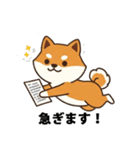 ビジネス向け Shiba Vibes（個別スタンプ：37）