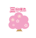 桜の季節に！見頃とお祝いスタンプ（個別スタンプ：25）