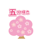 桜の季節に！見頃とお祝いスタンプ（個別スタンプ：26）