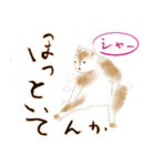 楽しい春の生活（個別スタンプ：39）