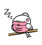 もちっとウグイス桜ちゃん（個別スタンプ：27）