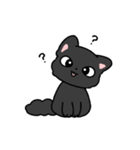 おとなしいネコ セイ（個別スタンプ：3）