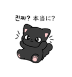おとなしいネコ セイ（個別スタンプ：4）