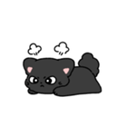 おとなしいネコ セイ（個別スタンプ：13）