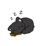 おとなしいネコ セイ（個別スタンプ：21）
