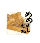 yocco baba（関川村弁②チビバージョン）（個別スタンプ：5）