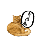 yocco baba（関川村弁②チビバージョン）（個別スタンプ：9）