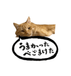 yocco baba（関川村弁②チビバージョン）（個別スタンプ：12）