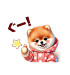 ふわふわポメラニアン パーカー編（個別スタンプ：12）