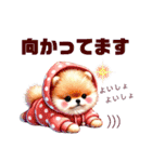 ふわふわポメラニアン パーカー編（個別スタンプ：24）