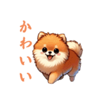 毎日使える会話とあいさつ【ポメラニアン】（個別スタンプ：1）