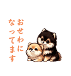 毎日使える会話とあいさつ【ポメラニアン】（個別スタンプ：2）