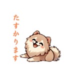 毎日使える会話とあいさつ【ポメラニアン】（個別スタンプ：5）
