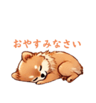 毎日使える会話とあいさつ【ポメラニアン】（個別スタンプ：7）