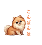 毎日使える会話とあいさつ【ポメラニアン】（個別スタンプ：11）