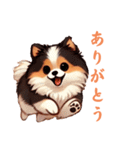 毎日使える会話とあいさつ【ポメラニアン】（個別スタンプ：13）