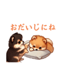 毎日使える会話とあいさつ【ポメラニアン】（個別スタンプ：14）