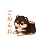 毎日使える会話とあいさつ【ポメラニアン】（個別スタンプ：15）