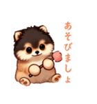 毎日使える会話とあいさつ【ポメラニアン】（個別スタンプ：17）