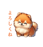 毎日使える会話とあいさつ【ポメラニアン】（個別スタンプ：18）