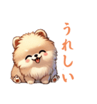 毎日使える会話とあいさつ【ポメラニアン】（個別スタンプ：20）