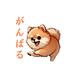 毎日使える会話とあいさつ【ポメラニアン】（個別スタンプ：24）