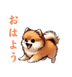 毎日使える会話とあいさつ【ポメラニアン】（個別スタンプ：28）