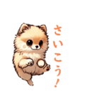 毎日使える会話とあいさつ【ポメラニアン】（個別スタンプ：30）