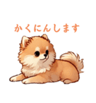 毎日使える会話とあいさつ【ポメラニアン】（個別スタンプ：32）