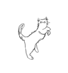 よぼよぼなねこ（個別スタンプ：8）