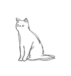 よぼよぼなねこ（個別スタンプ：12）