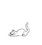 よぼよぼなねこ（個別スタンプ：29）