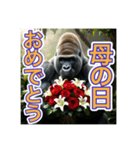 【母の日と父の日】お祝いするゴリラさん（個別スタンプ：3）
