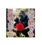 【母の日と父の日】お祝いするゴリラさん（個別スタンプ：5）