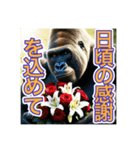 【母の日と父の日】お祝いするゴリラさん（個別スタンプ：8）