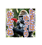 【母の日と父の日】お祝いするゴリラさん（個別スタンプ：15）