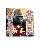 【母の日と父の日】お祝いするゴリラさん（個別スタンプ：16）