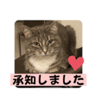 はなちゃんもいっしょに…Vol.1（個別スタンプ：3）