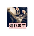 はなちゃんもいっしょに…Vol.1（個別スタンプ：5）