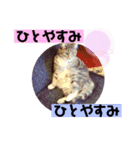 はなちゃんもいっしょに…Vol.1（個別スタンプ：8）