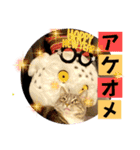 はなちゃんもいっしょに…Vol.1（個別スタンプ：12）