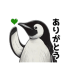 ペンギンChill1（個別スタンプ：4）