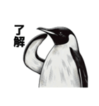 ペンギンChill1（個別スタンプ：5）