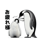 ペンギンChill1（個別スタンプ：12）