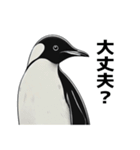 ペンギンChill1（個別スタンプ：21）