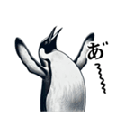 ペンギンChill1（個別スタンプ：26）