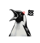 ペンギンChill1（個別スタンプ：35）